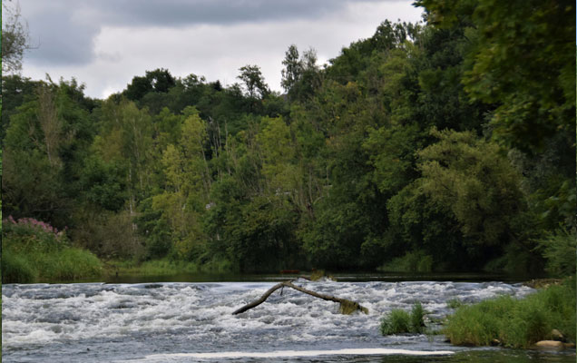 Donau mobile 03